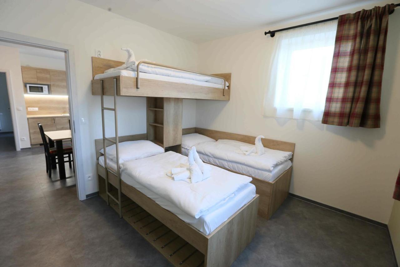 Apartmany Aura Boží Dar Extérieur photo